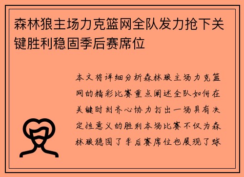森林狼主场力克篮网全队发力抢下关键胜利稳固季后赛席位